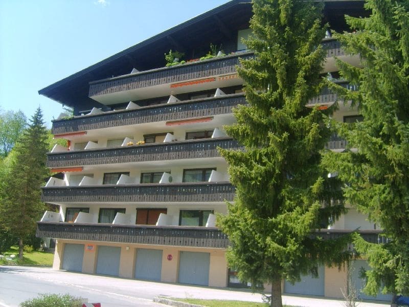 Ski & Golf apartment in secondary residence area of Maria Alm, ground floor apartment in 5760 Saalfelden