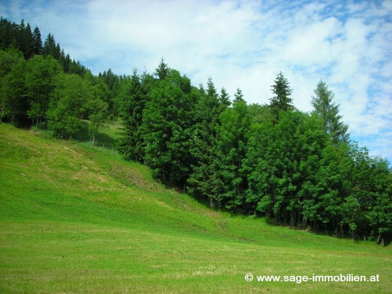 Building land in Wagrain – Ski Amade – Sunny hillside – Ski lift in walking distance, Land in 5602 Wagrain